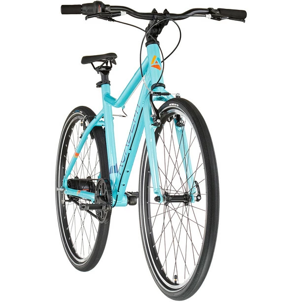 ACADEMY Grade 6 Belt 26" Kinder Grau 3 ACADEMY Grade 6 Belt 26" Kinder Grau – Bild 3