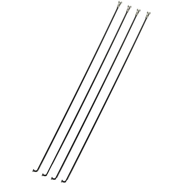 Campagnolo® Campagnolo Calima Speichenkit Inkl. Nippel Hinten Rechts 4 Stück 1 Campagnolo® Campagnolo Calima Speichenkit Inkl. Nippel Hinten Rechts 4 Stück