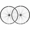 Dt-swiss DT Swiss FR 1950 Classic Laufradsatz 29" 30mm 20x110mm/12x150mm SRAM/Shimano HG