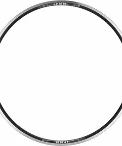 Dt-swiss DT Swiss RR 411 Felge 28" Schwarz