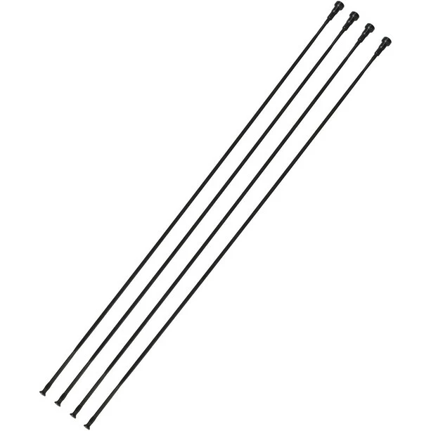 Fulcrum Racing 3 Speichen & Nippelkit Nicht-Antriebsseite Hinten 4 Stück 1 Fulcrum Racing 3 Speichen & Nippelkit Nicht-Antriebsseite Hinten 4 Stück