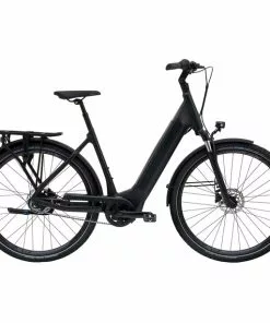 Giant DailyTour E+ 2 RT LDS Schwarz