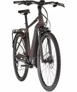 Giant DailyTour E+ 3 GTS Rot -E-Mountainbikes Verkäufe giant dailytour e 3 gts rosewood 3