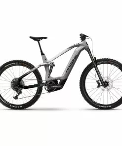 HAIBIKE AllMtn CF 9 Grau