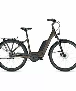 Kalkhoff Image 1.B Move Comfort Grau