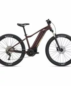 Liv Tempt E+ 1 Damen Rot