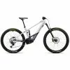 Orbea Wild FS M20 Silber/schwarz