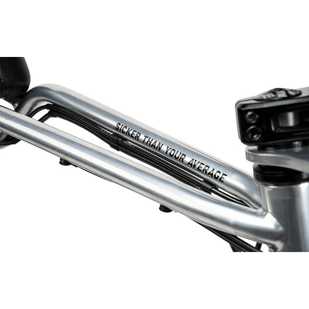 Ruff-cycles Ruff Cycles Biggie Bosch Active Line 300Wh Silber 4 Ruff-cycles Ruff Cycles Biggie Bosch Active Line 300Wh Silber – Bild 4