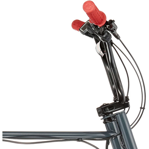 Ruff-cycles Ruff Cycles Lil'Buddy Bosch Active Line 500Wh Grau 4 Ruff-cycles Ruff Cycles Lil'Buddy Bosch Active Line 500Wh Grau – Bild 4