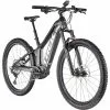 Trek Powerfly FS 7 Grau/schwarz